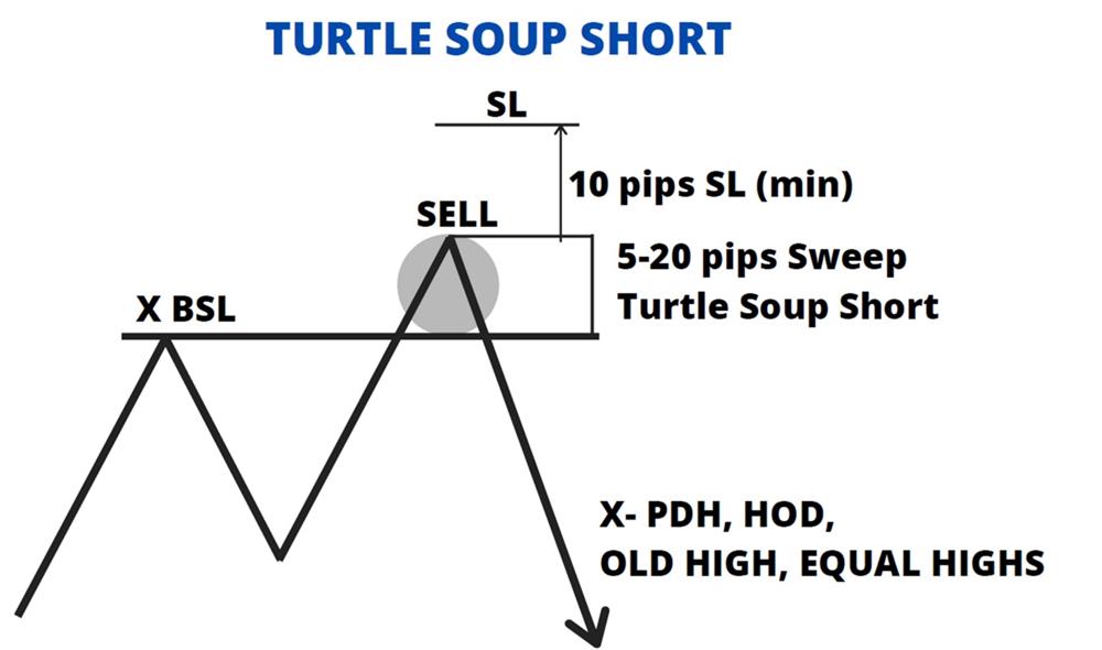 turtle soup short