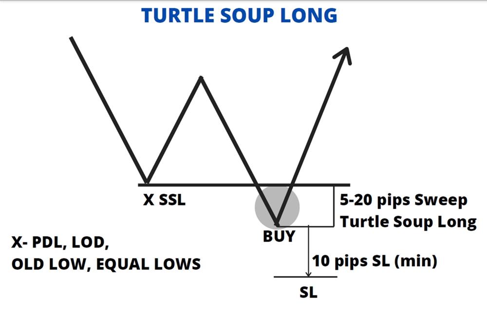 turtle soup long