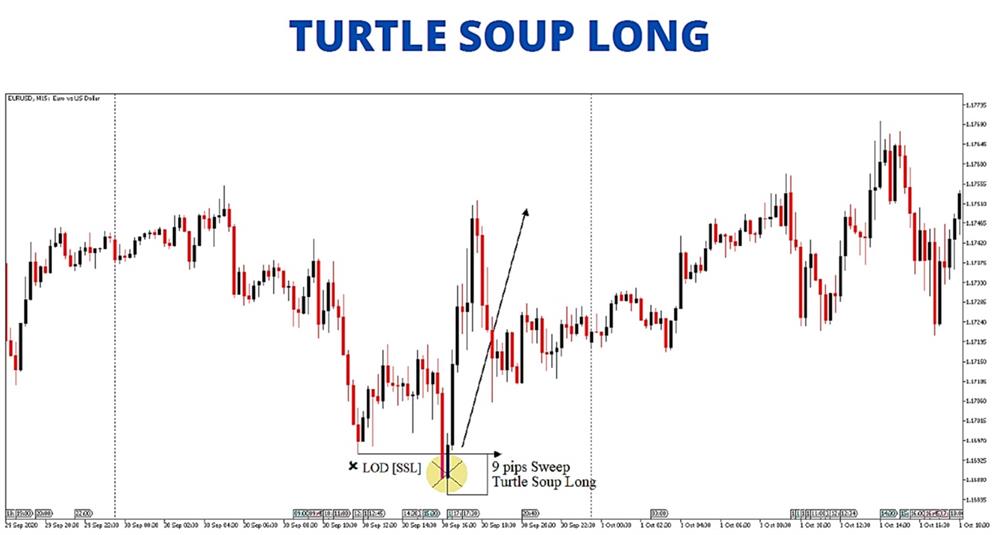 turtle soup long